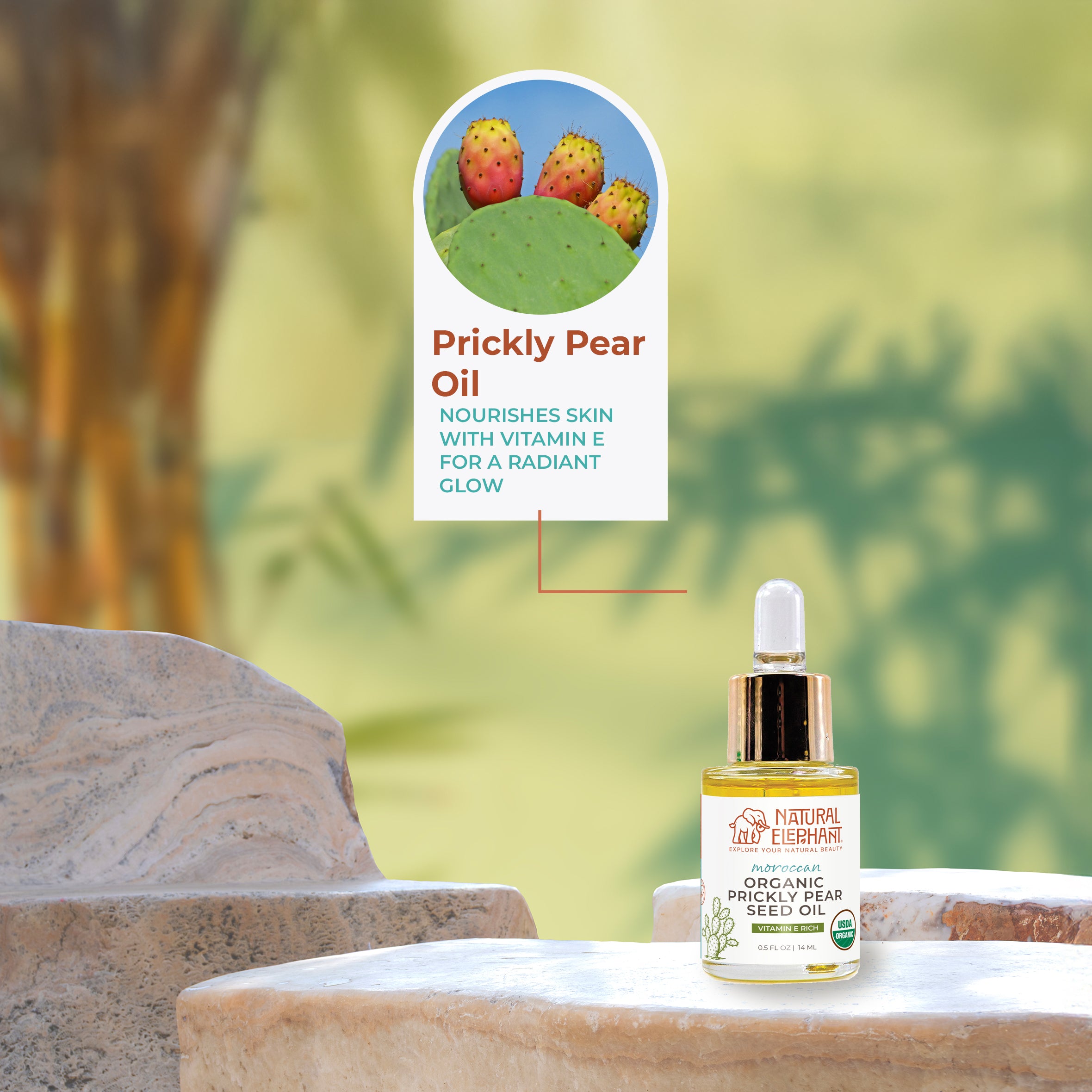 Natural Elephant Organic Prickly Pear Seed Oil 0.5 fl oz