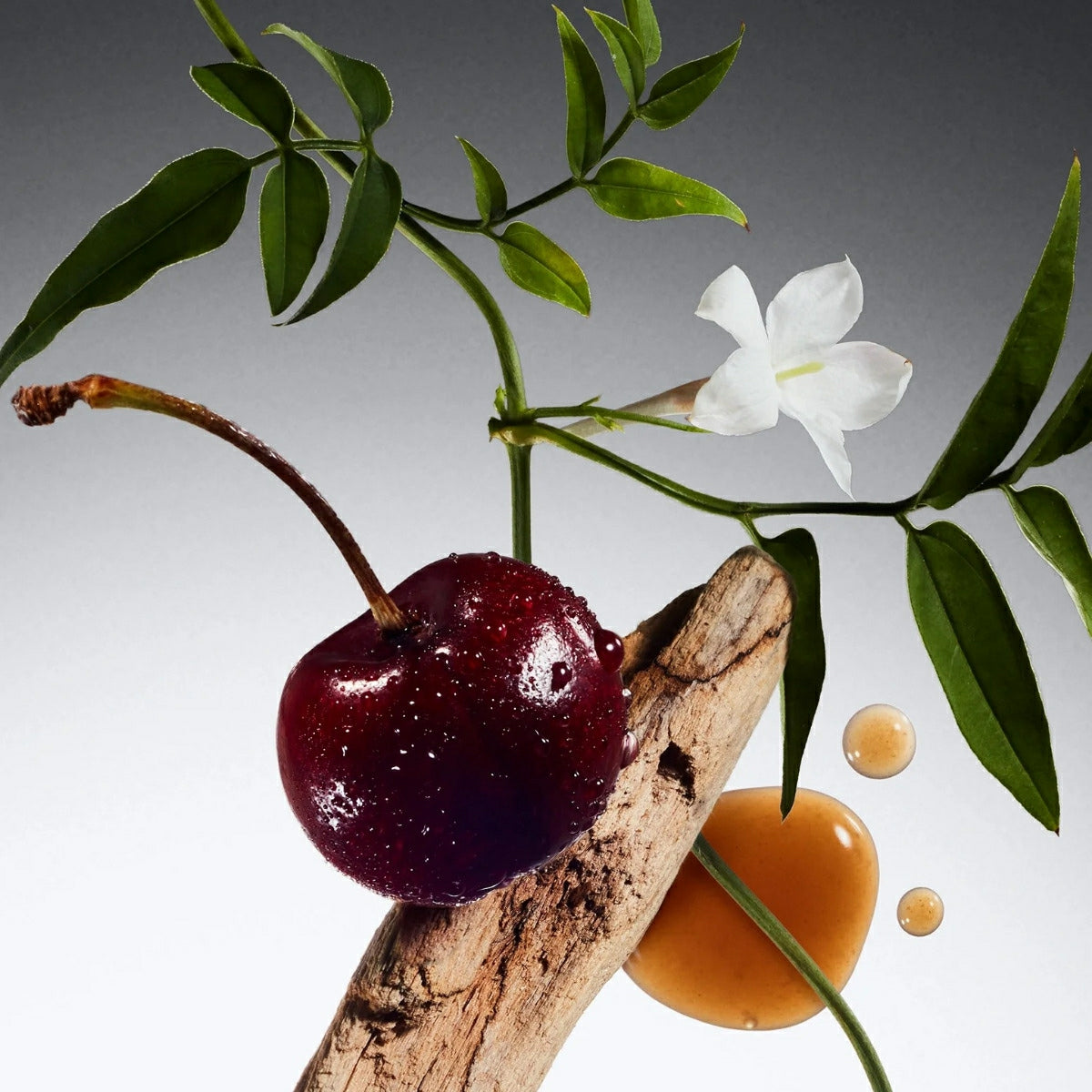 Philosophy Radiant Grace shower gel ingredients featuring a cherry, white flower, and natural wood elements