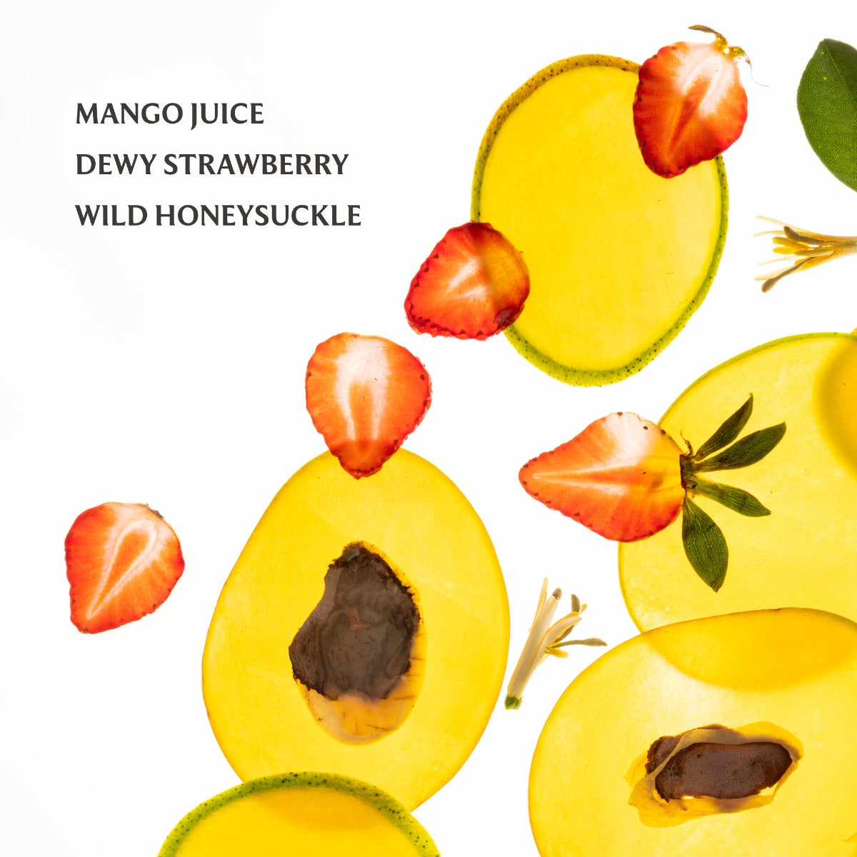 Touchland Power Essence Body & Hair Fragrance Mist 2 oz (60ml) | Multiple Scents Available