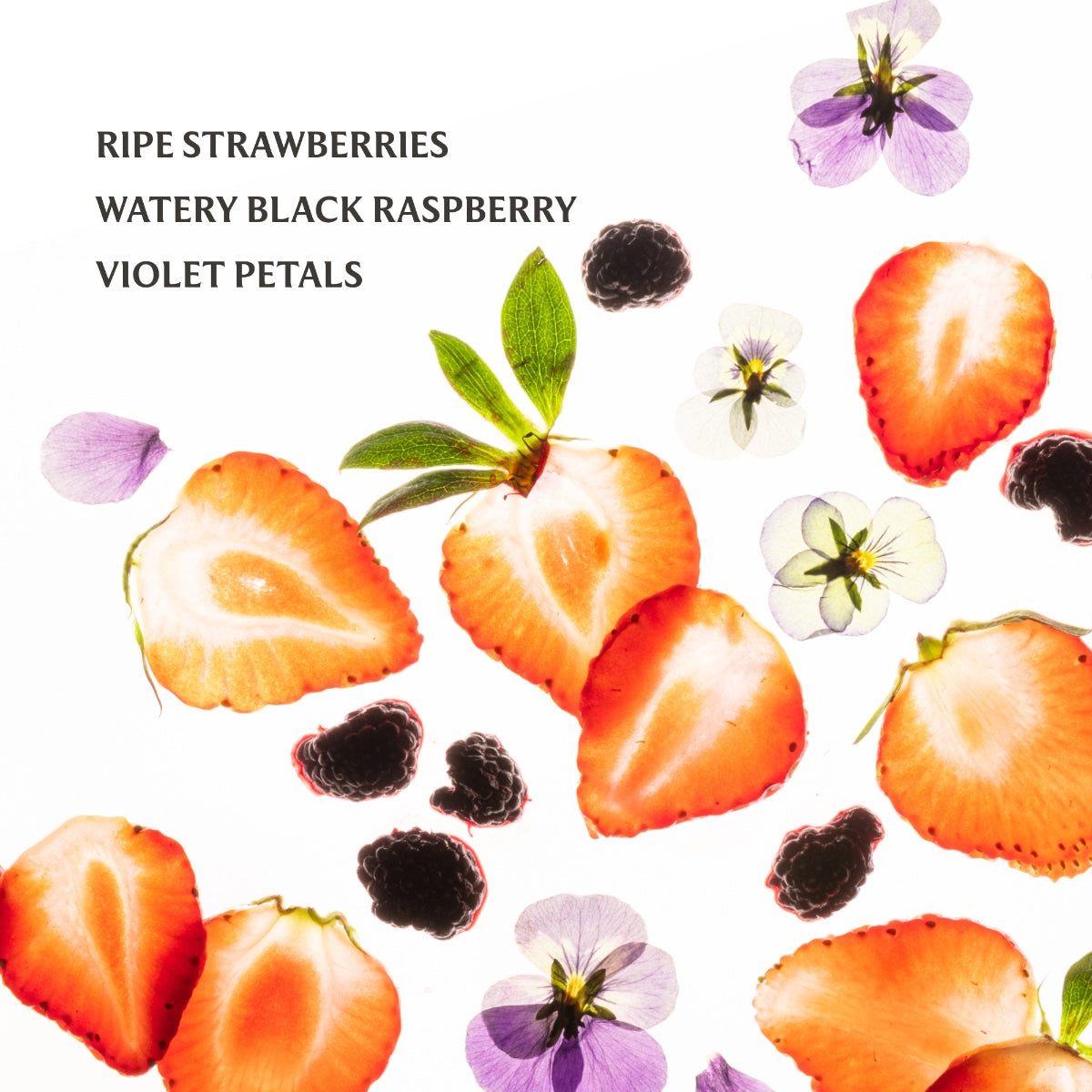 Touchland Power Mist Hydrating Hand Sanitizer 1 oz (30ml) | Multiple Scents Available