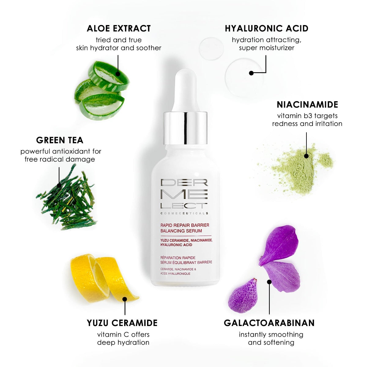 Dermelect Rapid Repair Serum bottle with dropper and ingredients shown aloe hyaluronic acid niacinamide green tea