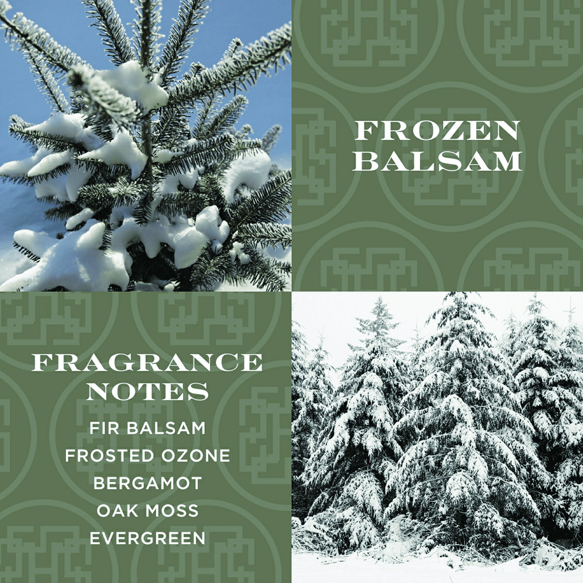Frozen Balsam gel hand soap fragrance notes with images of snow-covered fir and evergreen trees