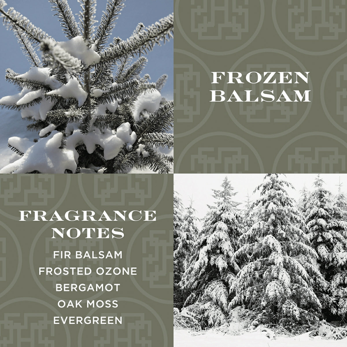 Frozen balsam scented candle fragrance notes include fir balsam, frosted ozone, bergamot, oak moss, and evergreen