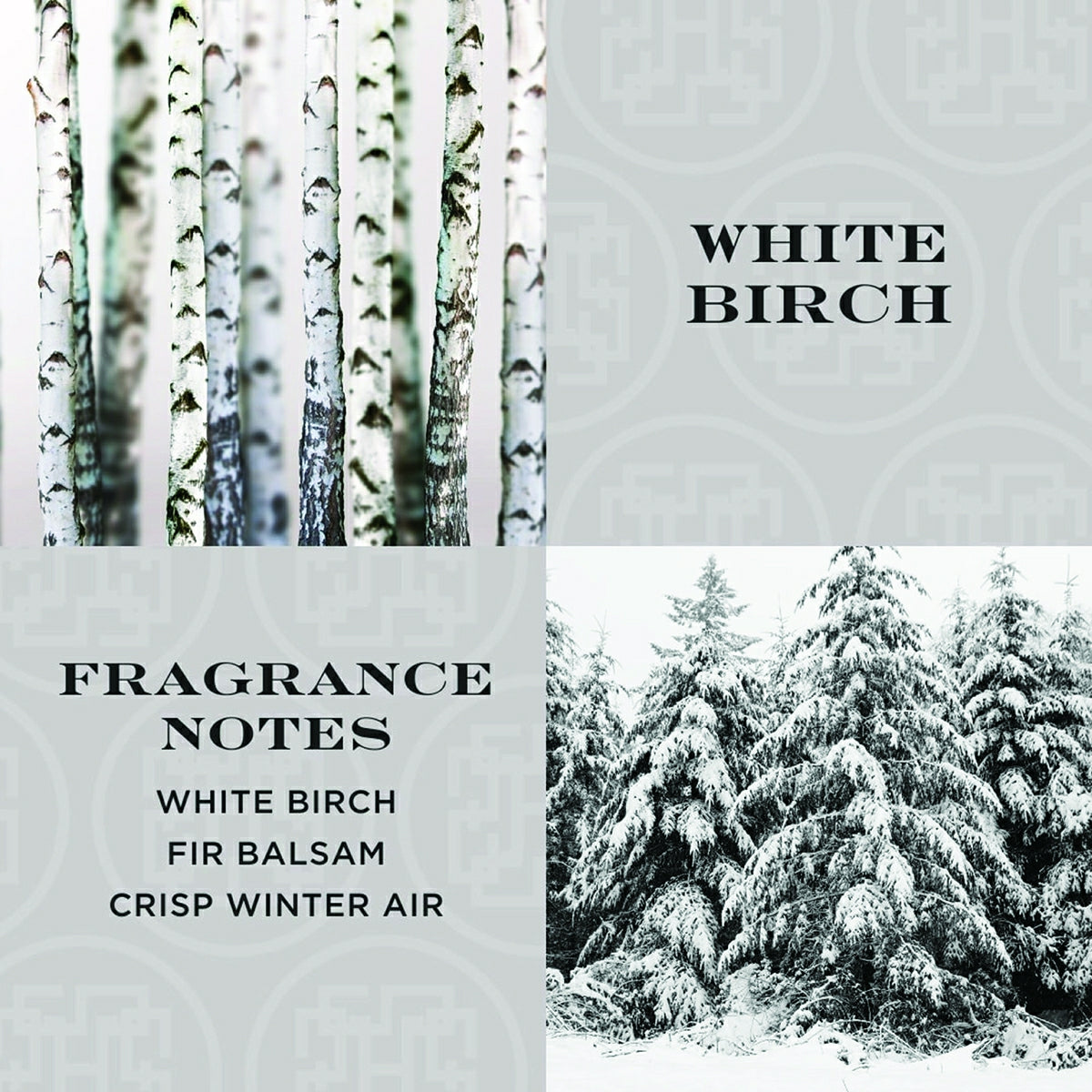 White birch hand soap fragrance notes featuring white birch trees and snowy fir balsam forest