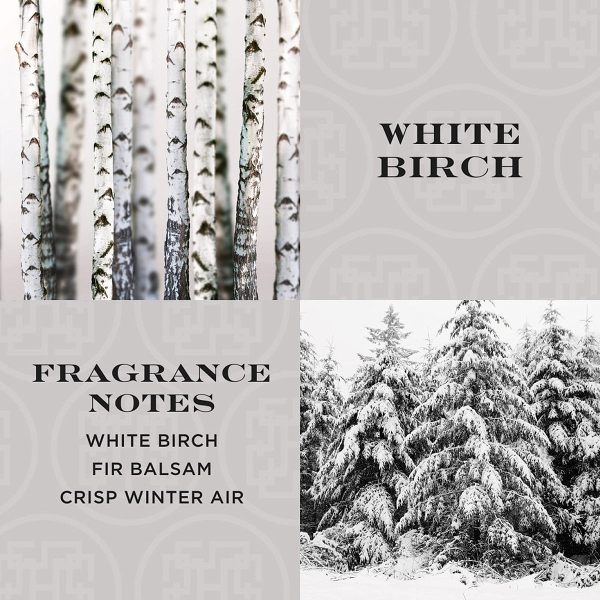 White birch scented candle fragrance notes with white birch trees and snowy fir balsam forest