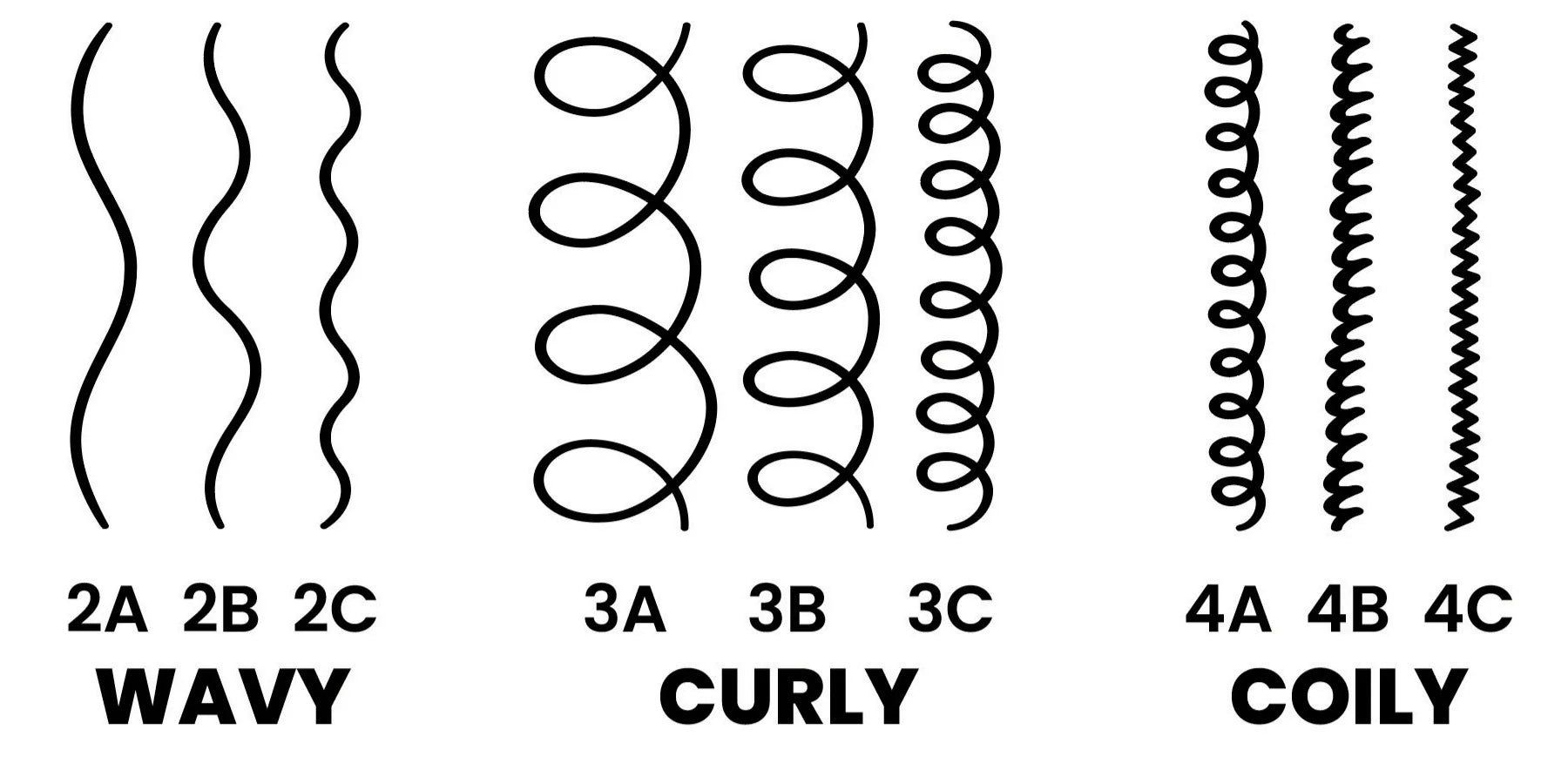 Diagram showing hair type classifications for wavy curly and coily hair textures with Olivia Garden CurlyHair brush