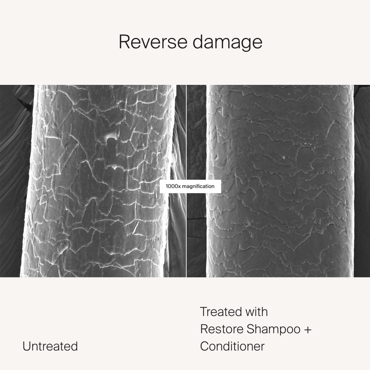 Living Proof Restore Shampoo 8.0oz