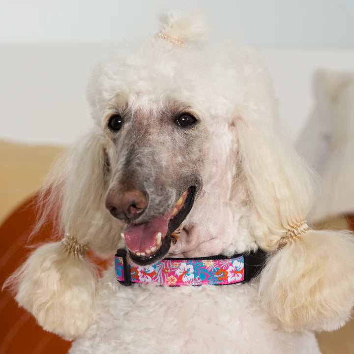 Invisibobble Slim Hair Ties Pack of 3