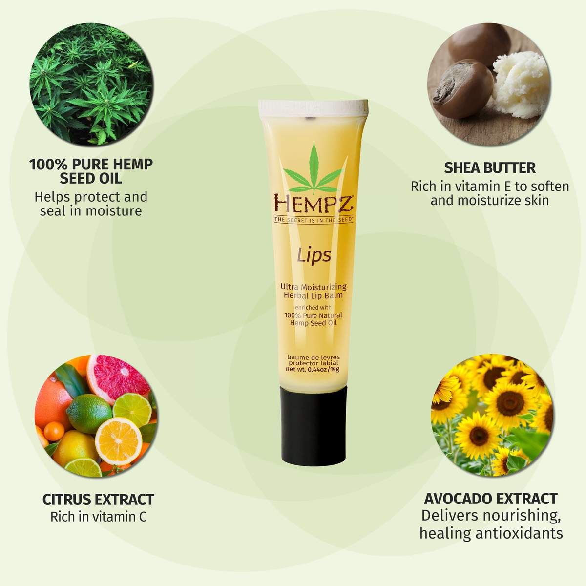 Hempz Hemp lip balm tube with natural ingredients like pure hemp seed oil shea butter citrus and avocado extract