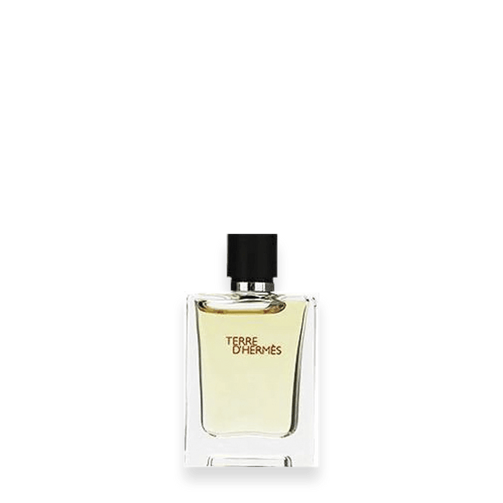 Hermes Terre d’Hermes Parfum