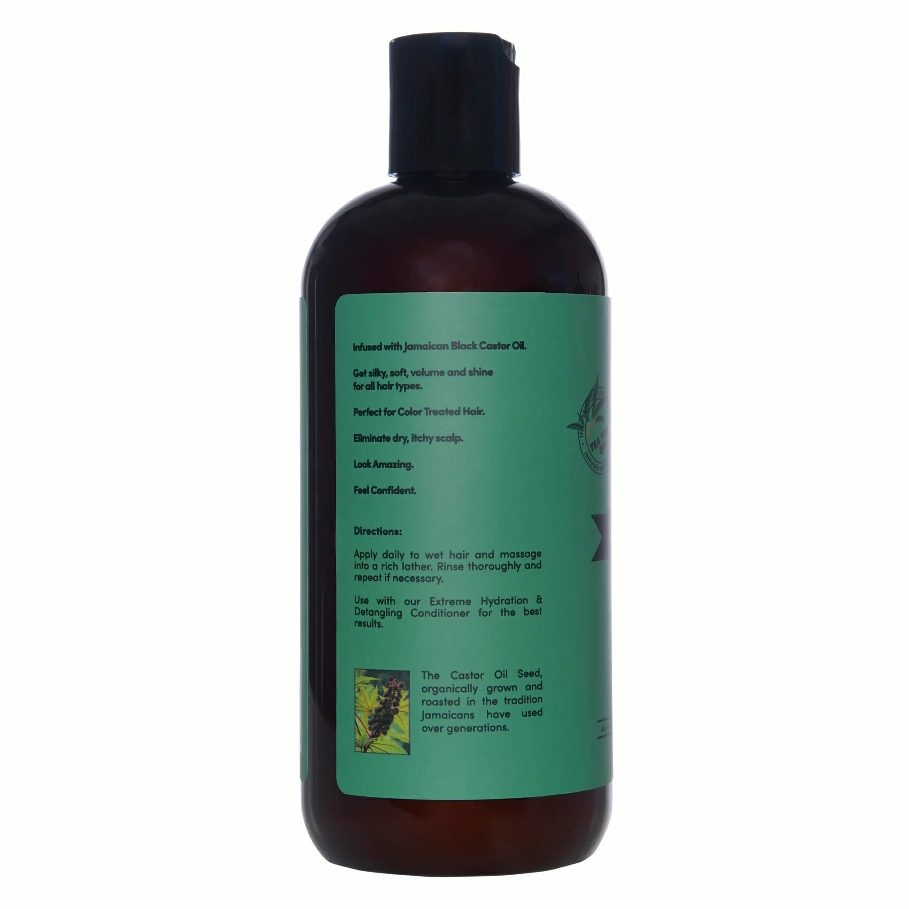 Sunny Isle Isle Jamaican Black Castor Oil Tea Tree Mint Extreme Hydration and Detangling Shampoo 12oz