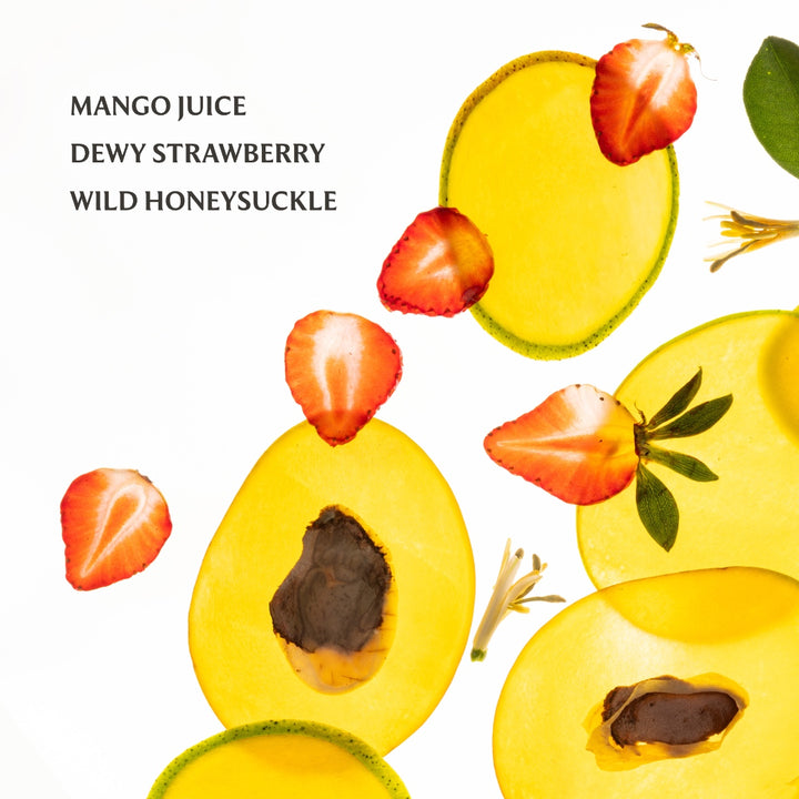 Touchland Power Essence Body & Hair Fragrance Mist 2 oz (60ml) | Multiple Scents Available