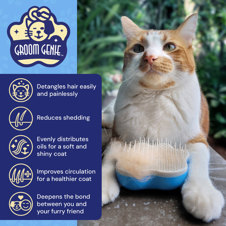 Groom Genie Teeny Pet Detangling Brush