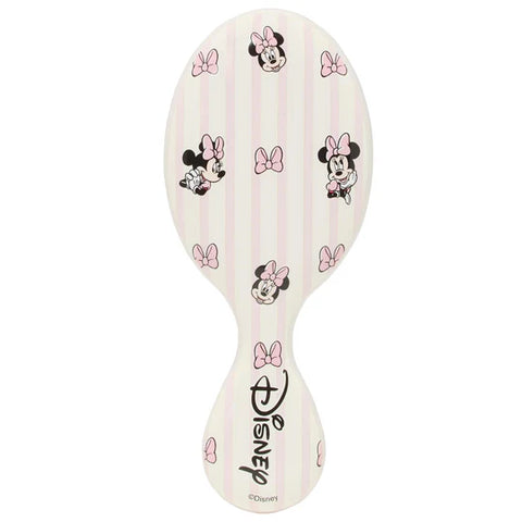 Wet Brush Hello Minnie and Daisy