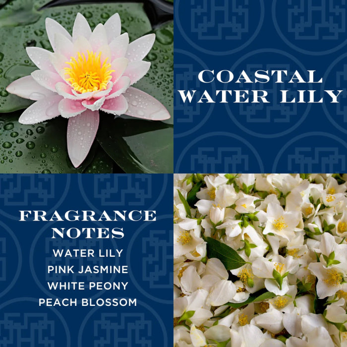 Coastal water lily scented candle with fragrance notes of water lily pink jasmine white peony and peach blossom