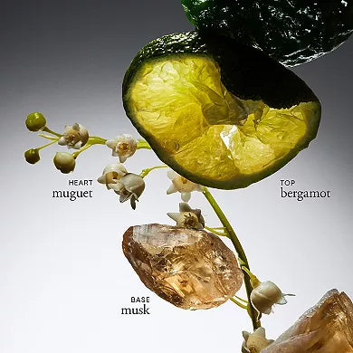 Close-up of bergamot, musk, and lily of the valley flowers highlighting ingredients in Philosophy Amazing Grace shimmering lotion