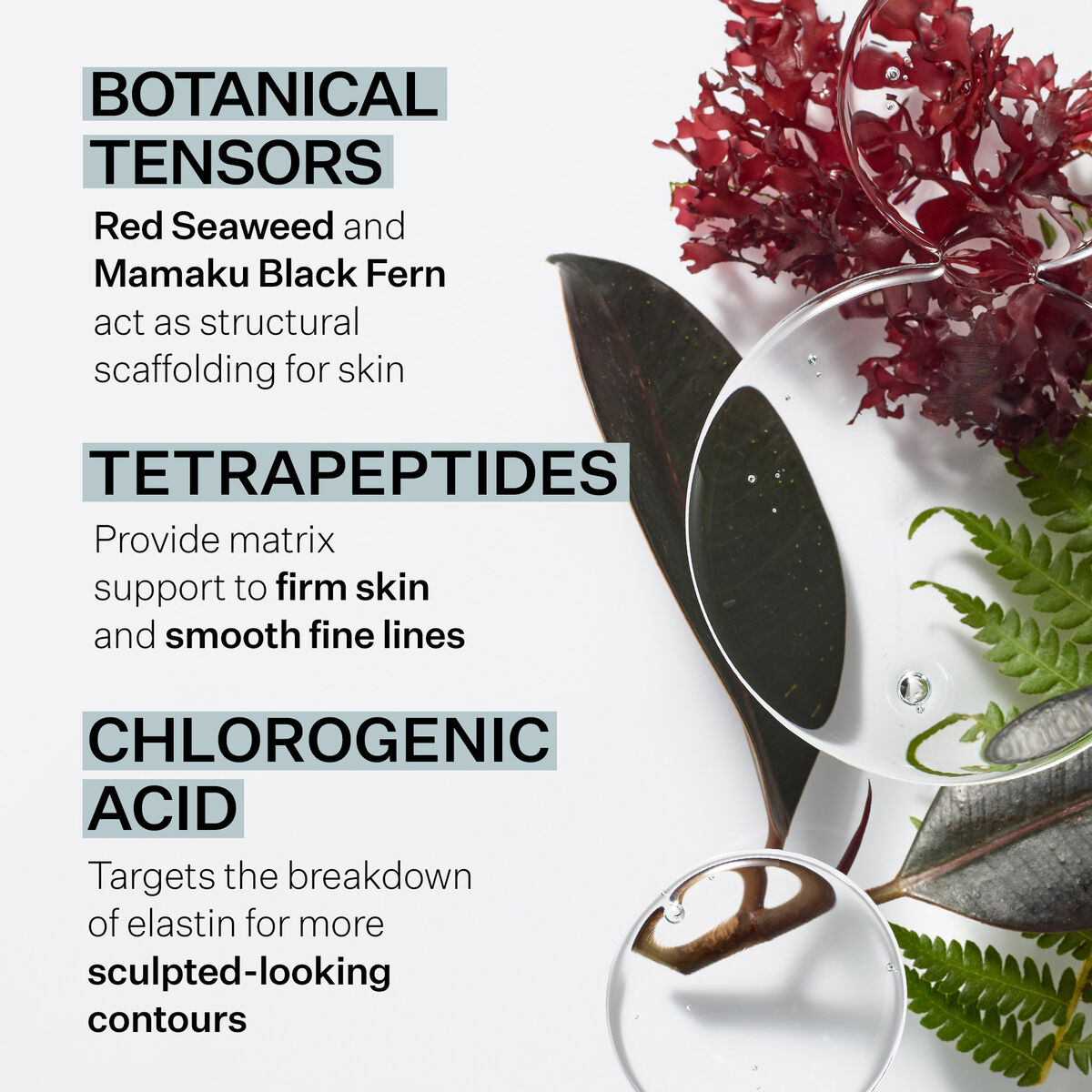 StriVectin Peptight Tightening Serum with ingredients like Red Seaweed and Tetrapeptides for firmer skin