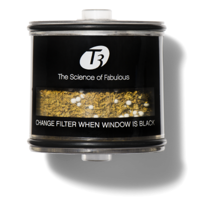 T3 Source Shower Filters- Inline Filter