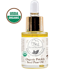 Natural Elephant Organic Prickly Pear Seed Oil in a glass dropper bottle for skincare benefits
